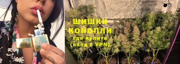 соль курить ск Заводоуковск