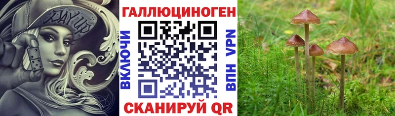 Псилоцибиновые грибы Magic Shrooms  Евпатория 