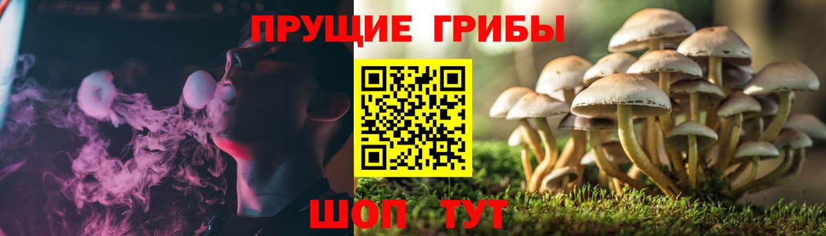 магазин продажи   Галлюциногенные грибы прущие грибы  Вход с VPN  Евпатория 